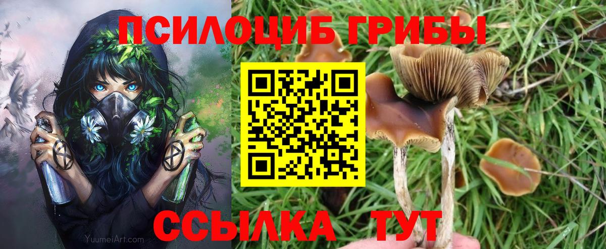 Псилоцибиновые грибы Psilocybine cubensis  Вход с VPN  Казань 